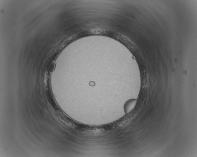 X0000084040646200703161832