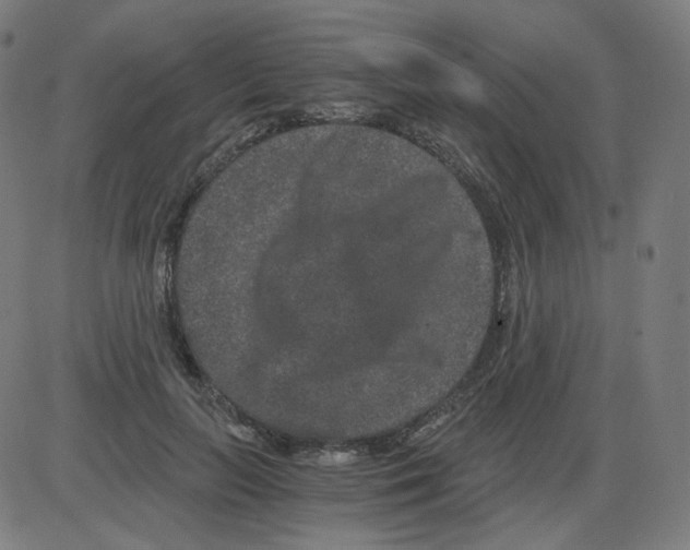 X0000084040647200703161832