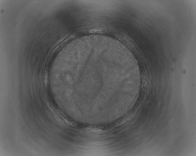 X0000084040648200703161832