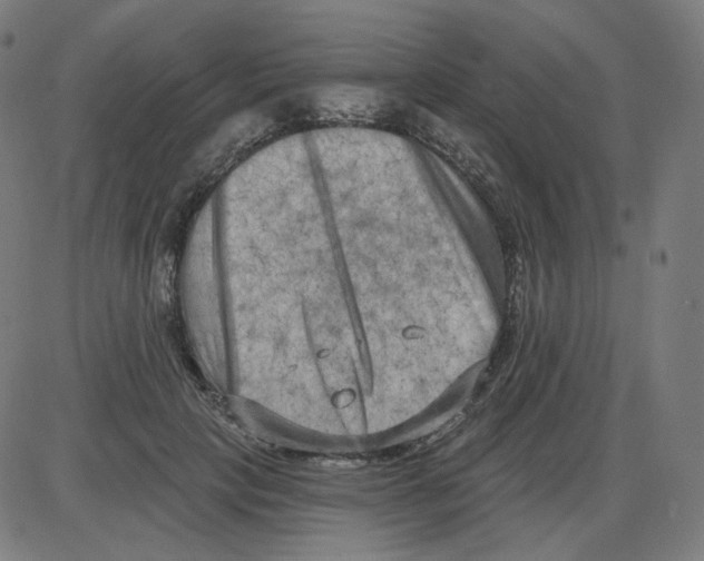 X0000084040649200703161832