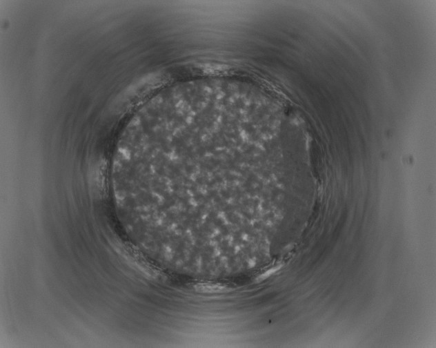 X0000084040650200703161832