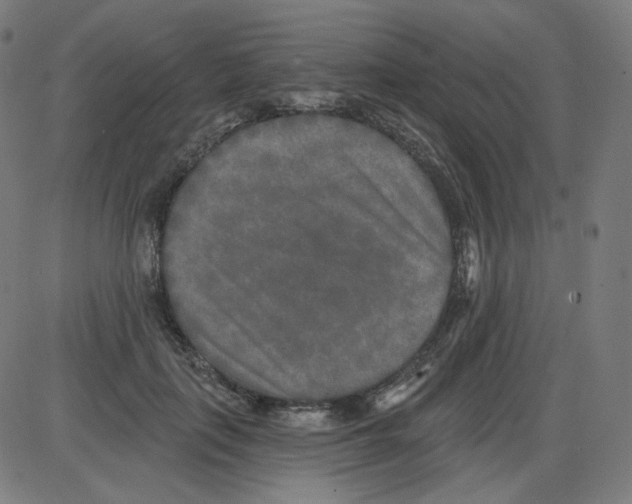 X0000084040651200703161832