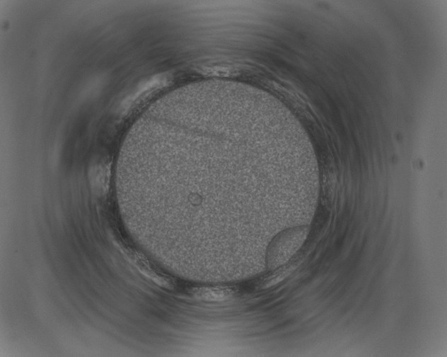 X0000084040652200703161832