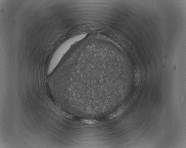 X0000084040654200703161832