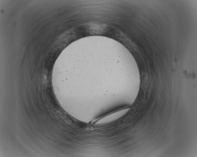 X0000084040655200703161832