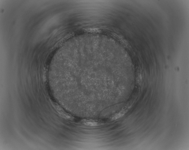 X0000084040658200703161832