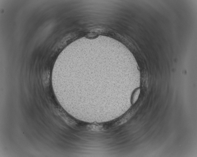 X0000084040660200703161832