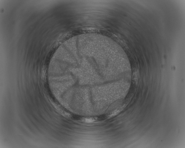 X0000084040662200703161833