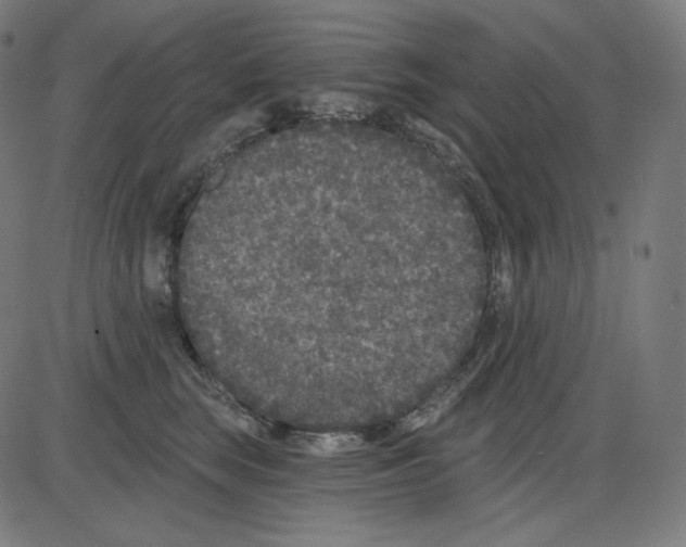 X0000084040663200703161833