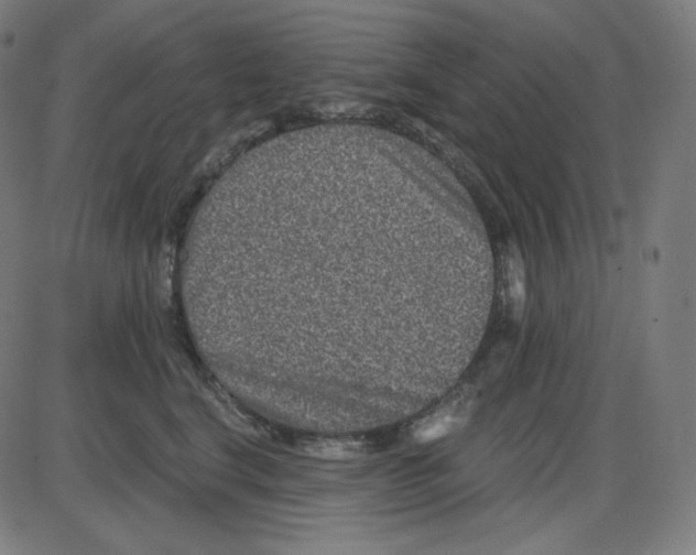 X0000084040664200703161833