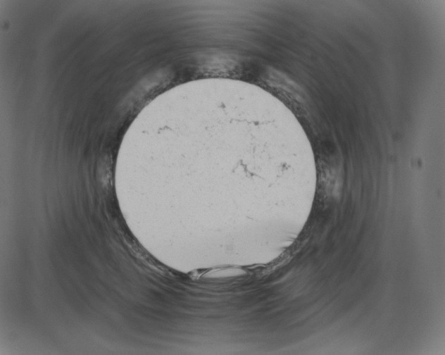 X0000084040665200703161833