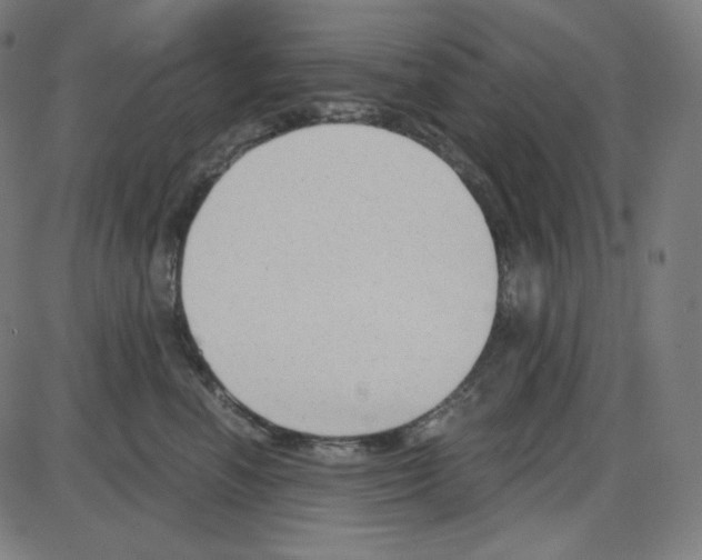 X0000084040666200703161833