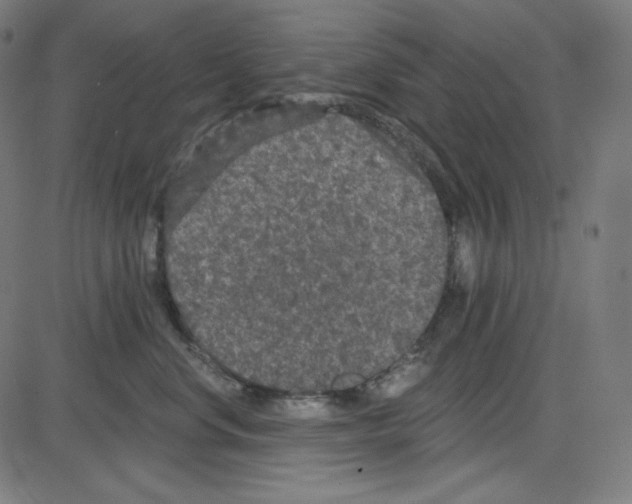 X0000084040668200703161833