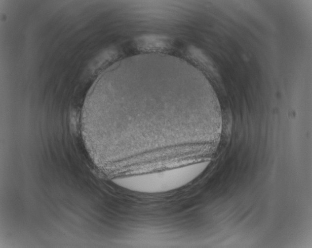 X0000084040669200703161833