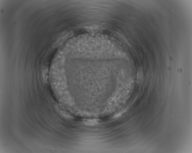 X0000084040671200703161833