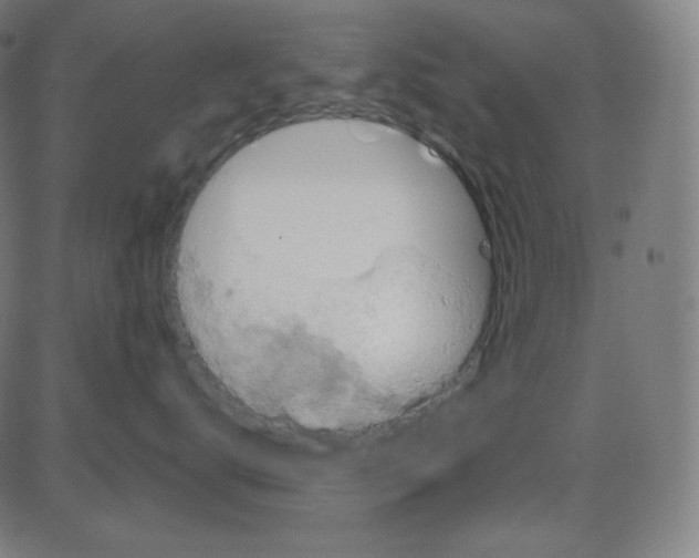 X0000084040672200703161833