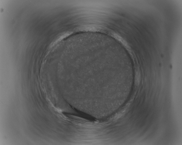 X0000084040673200703161832