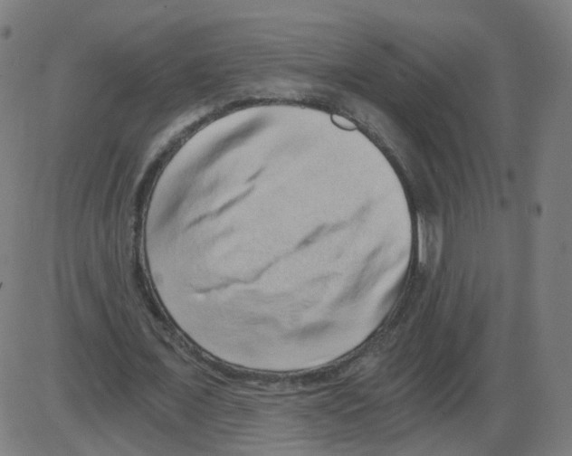 X0000084040675200703161832