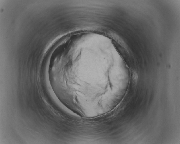 X0000084040676200703161832