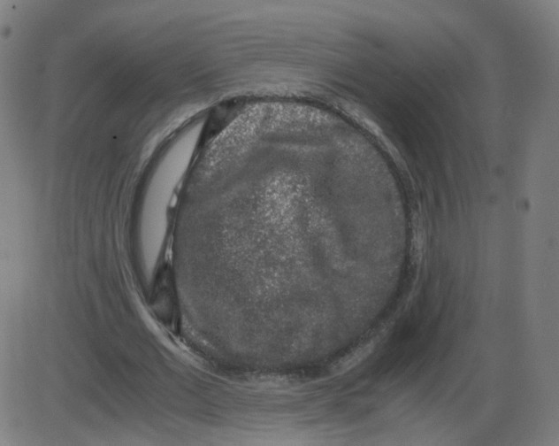 X0000084040677200703161832