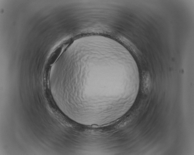 X0000084040680200703161832