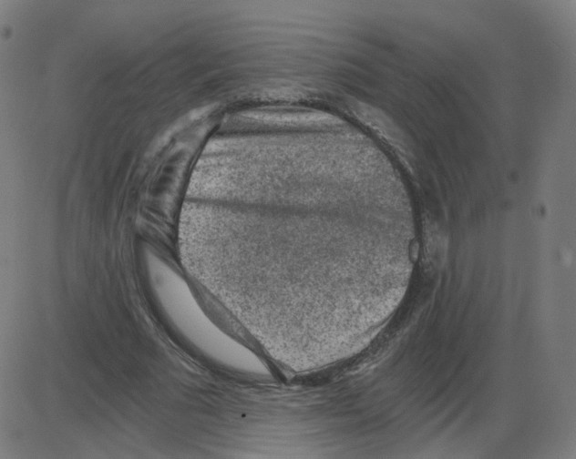 X0000084040681200703161832