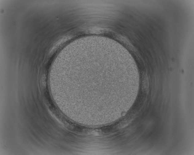 X0000084040683200703161832