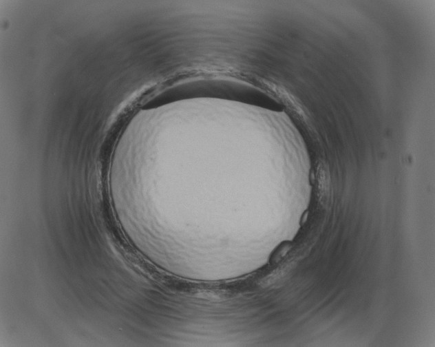 X0000084040684200703161832