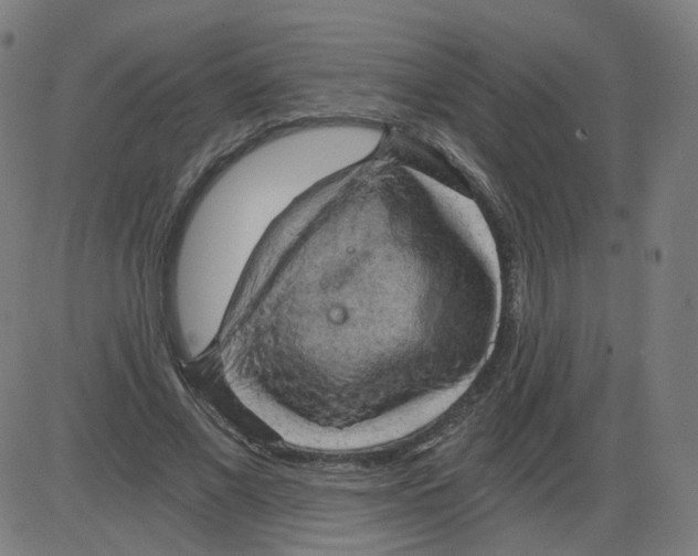 X0000084040685200703161832