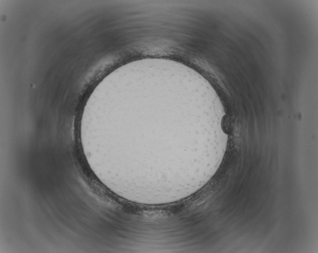 X0000084040686200703161832