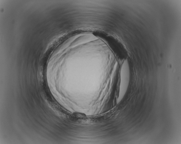 X0000084040688200703161832