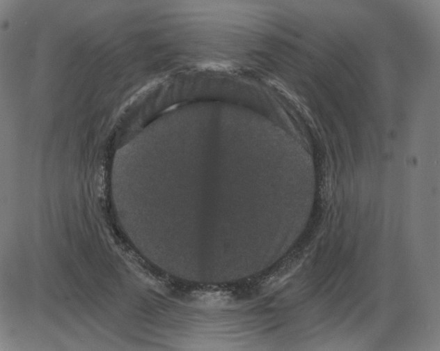 X0000084040689200703161832