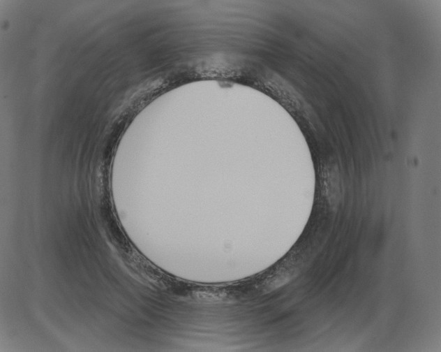 X0000084040690200703161832