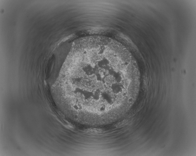 X0000084040691200703161832