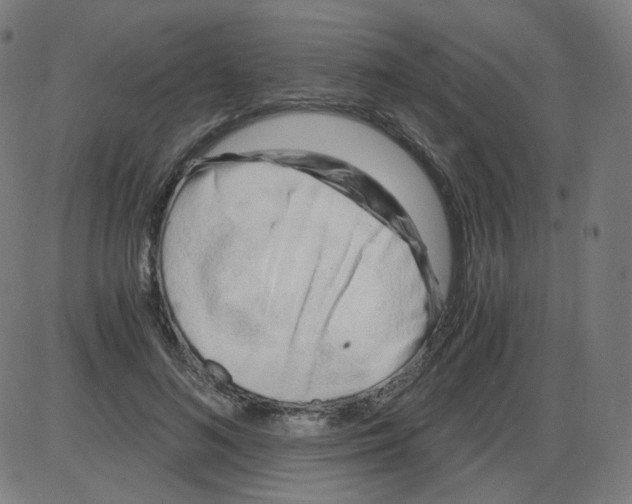 X0000084040692200703161832