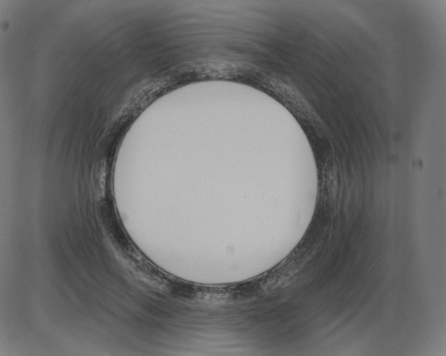 X0000084040694200703161832