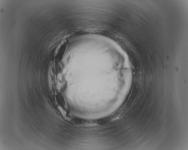 X0000084040696200703161831