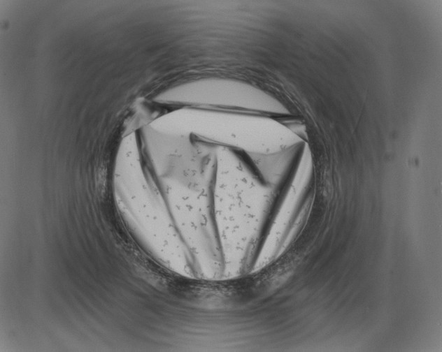 X0000084040697200703161831