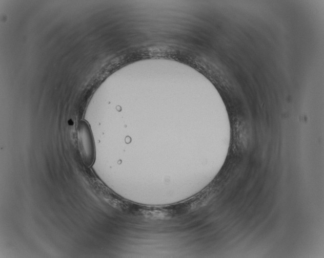 X0000084040698200703161831