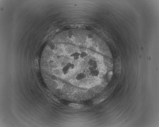 X0000084040699200703161831