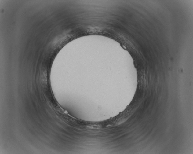 X0000084040700200703161831