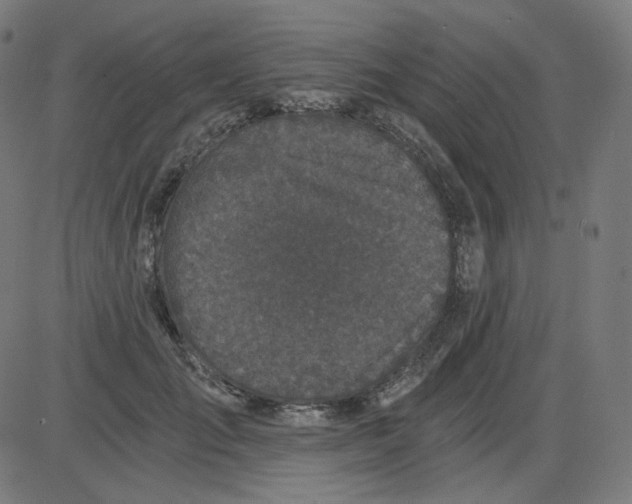 X0000084040701200703161831