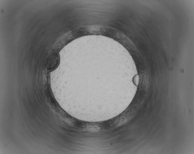 X0000084040702200703161831