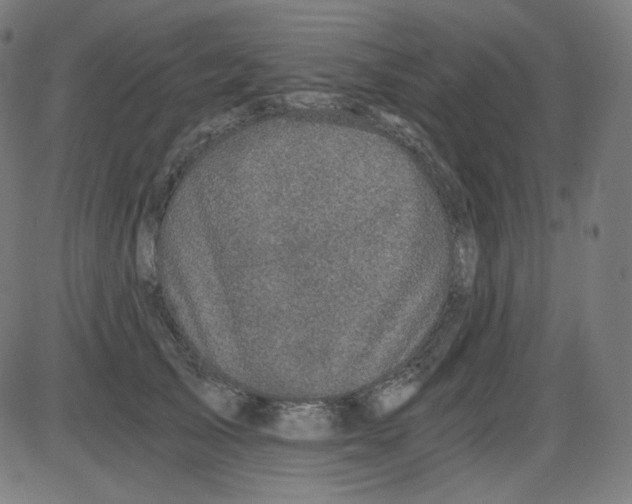 X0000084040705200703161831