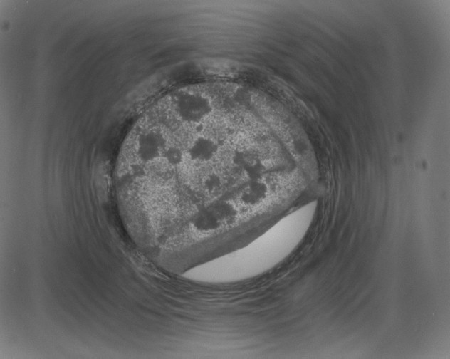 X0000084040707200703161831