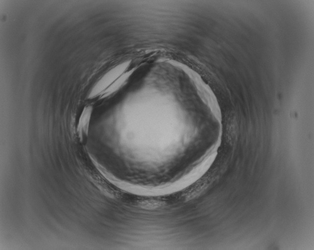 X0000084040708200703161831