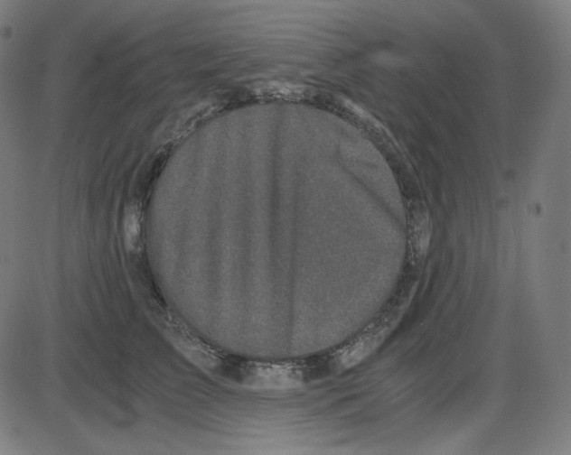 X0000084040709200703161831