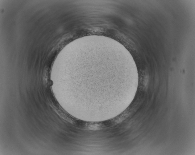 X0000084040710200703161831