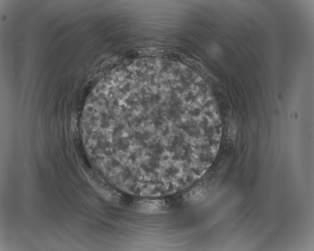 X0000084040711200703161831