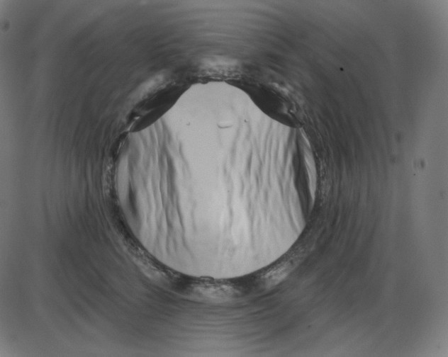 X0000084040712200703161831